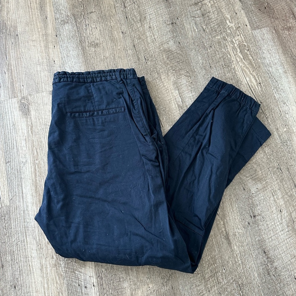 Zara Men's Navy Pants